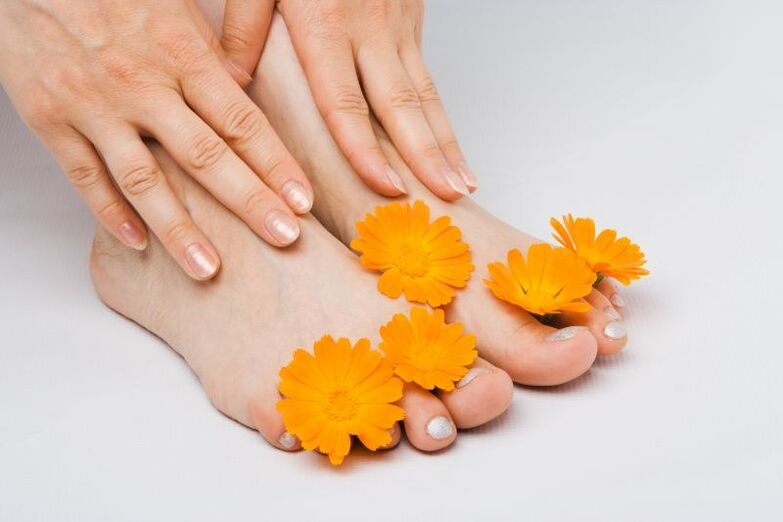 marigold flowers for toenail fungus